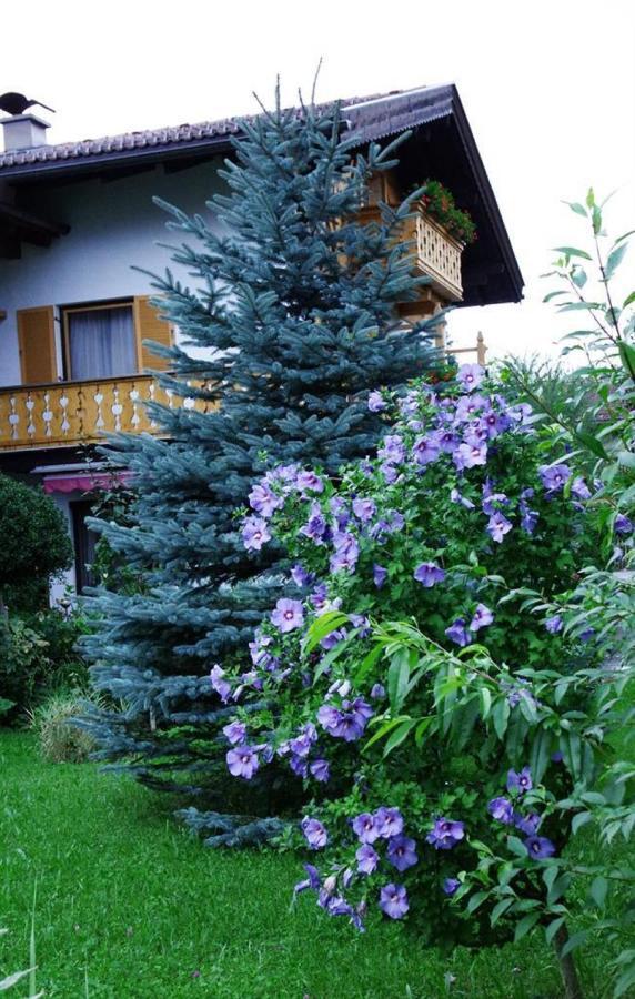 Gästehaus Lödermann Garmisch-Partenkirchen Exteriör bild